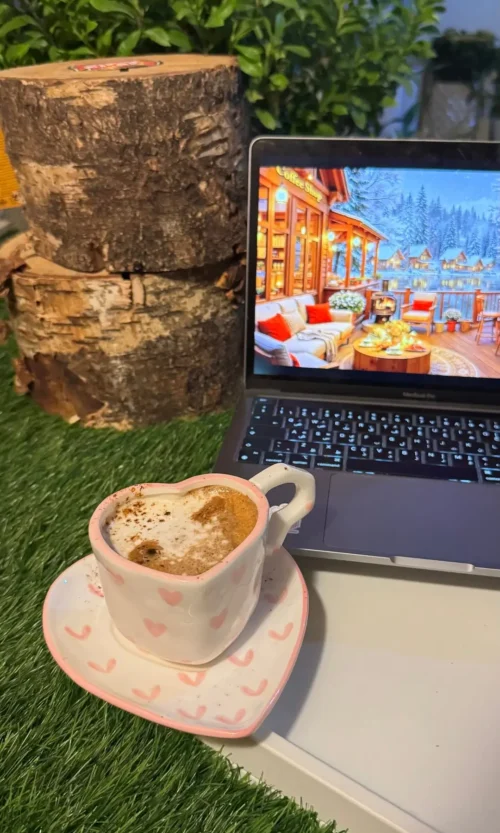 هوجيتشا