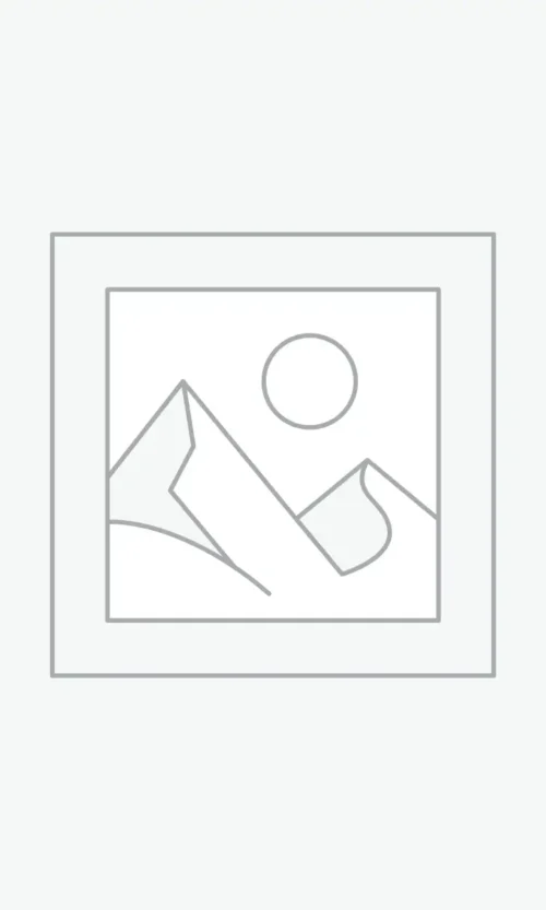 عنصر نائب Placeholder